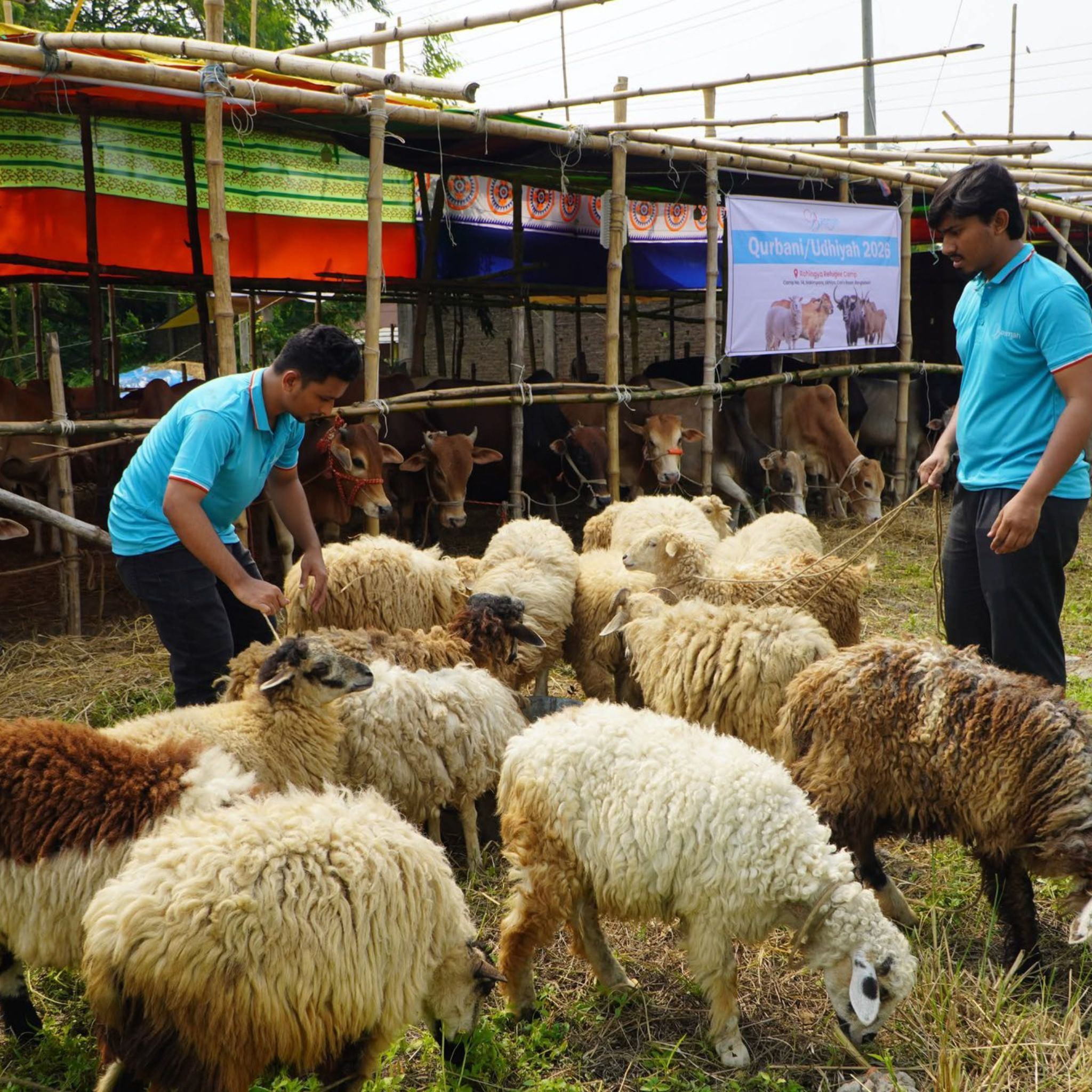 basmah qurbani-udhiya