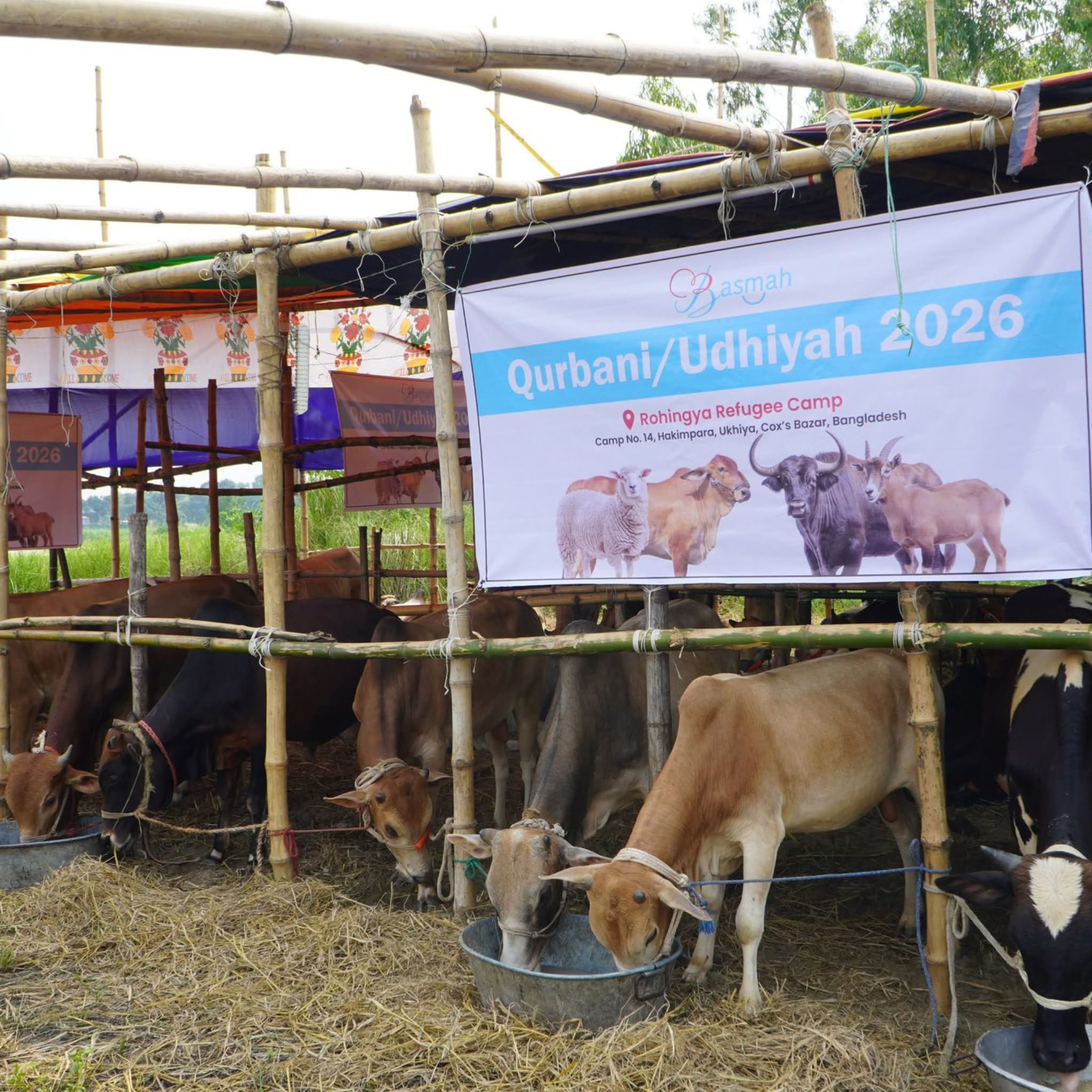 basmah qurbani-udhiya